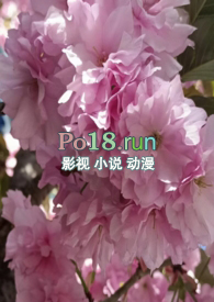 调教催眠
